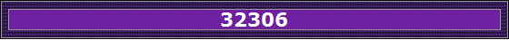 32306